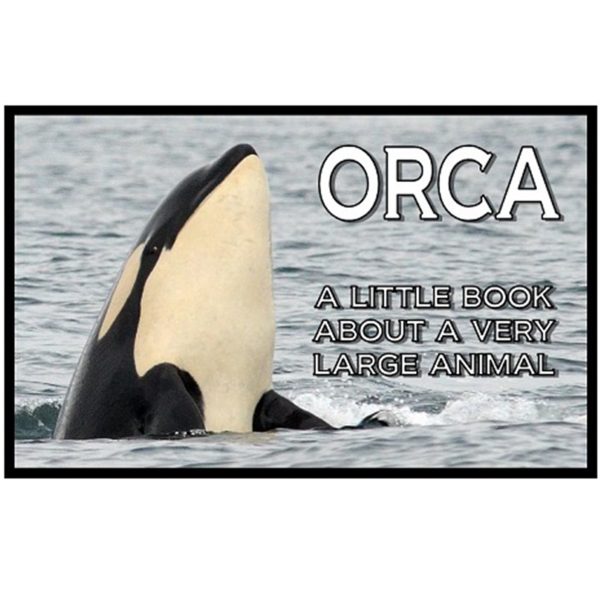 Orca Little Book Hot on Sale